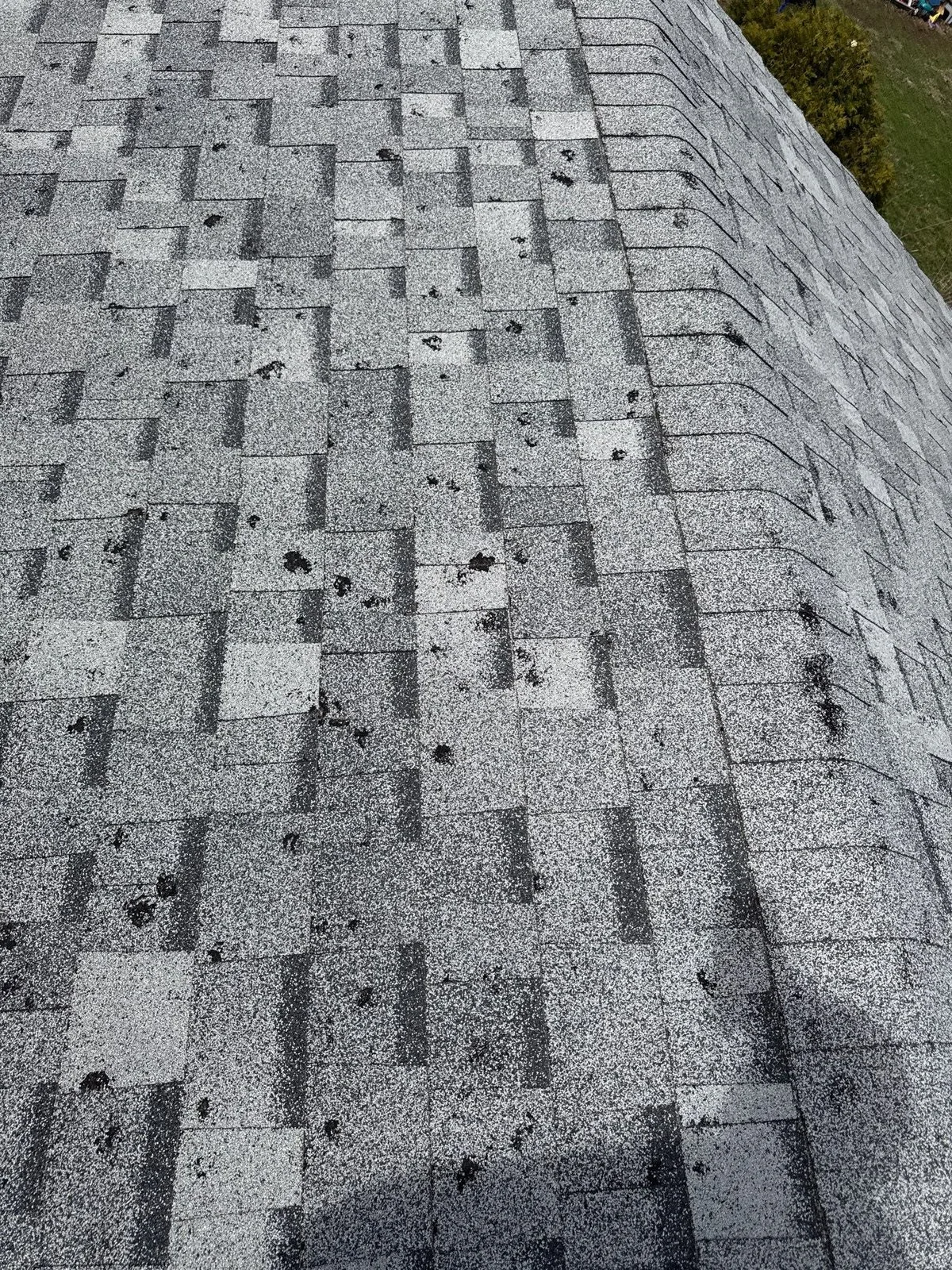 Documented hail impact marks on a shingle roof during a storm inspection near Naperville IL