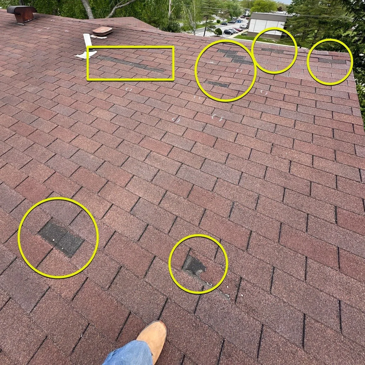 Wind uplift storm damage with missing and displaced shingles documented with yellow inspection circles on residential roof